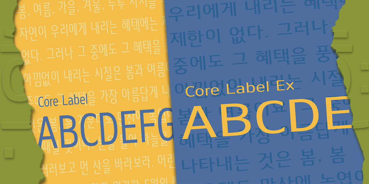 Core Label, a Sans Serif Font by S-Core (Photo 4 of 6)