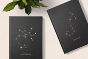 88 Star Constellations, an Illustration by Megs Lang (Thumbnail 8 of 12)