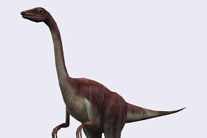 3DRT - Dinosaurs - Compsognathus