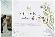 OLIVE BOTANICALS Watercolor & Line, a Work Illustration by Momo Studio (Thumbnail 1 of 15)