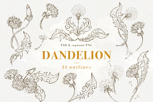Dandelion set of 14 pen sketches, an Illustration by Bee_in_a_Nest