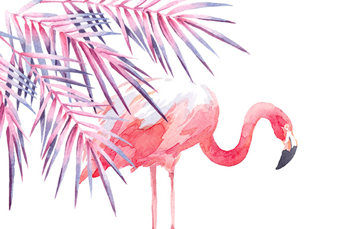 Pink watercolour collection №2, an Illustration by masha gross (Photo 3 of 4)