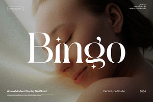 Bingo Modern Serif Font, a Serif Font by Perfectype