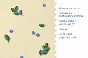 Blueberry sprigs - Set patterns, a Pattern Graphic by Yummy (Thumbnail 2 of 9)