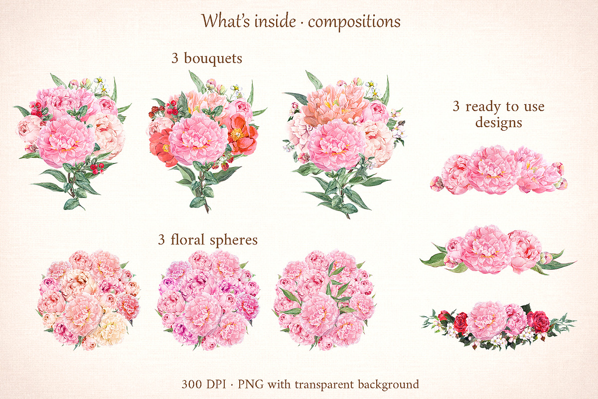 Blush Garden Peony Watercolor Set, a Seasonal Illustration by Where summer is (Photo 6 of 12)