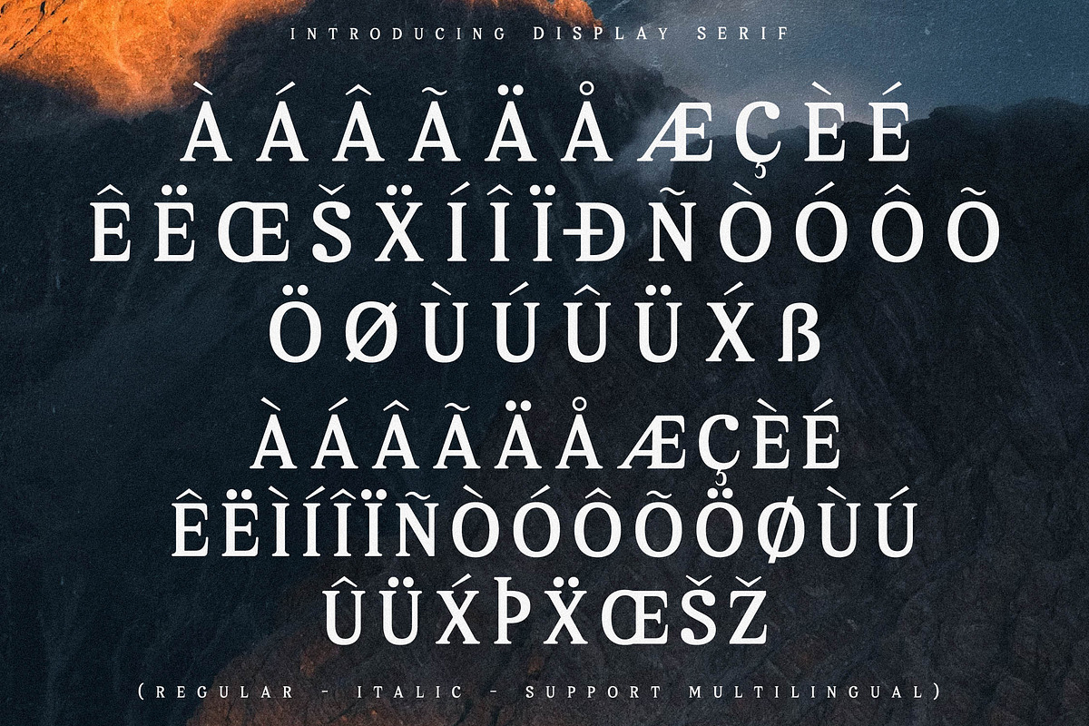 Melton Bronze Timeless Display Serif, a Serif Font by Storytype Studio (Photo 14 of 15)
