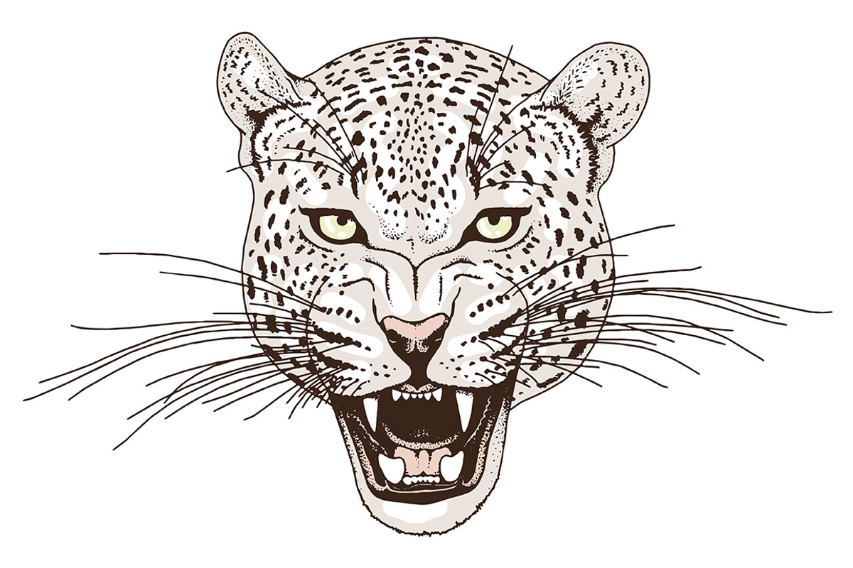 White LEOPARD, an Animal Illustration by Tanya Akhmett (Photo 3 of 6)