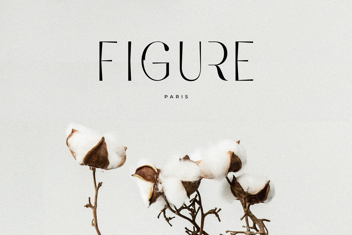 Feathers - Ligature Sans Serif, a Sans Serif Font by Sans & Sons (Photo 9 of 10)