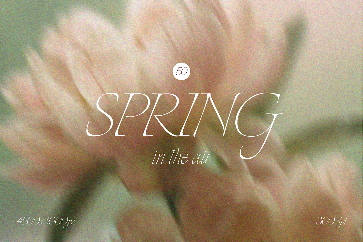 Soft Blurred Floral Backgrounds, a Background Graphic by margotikaj (Photo 1 of 5)