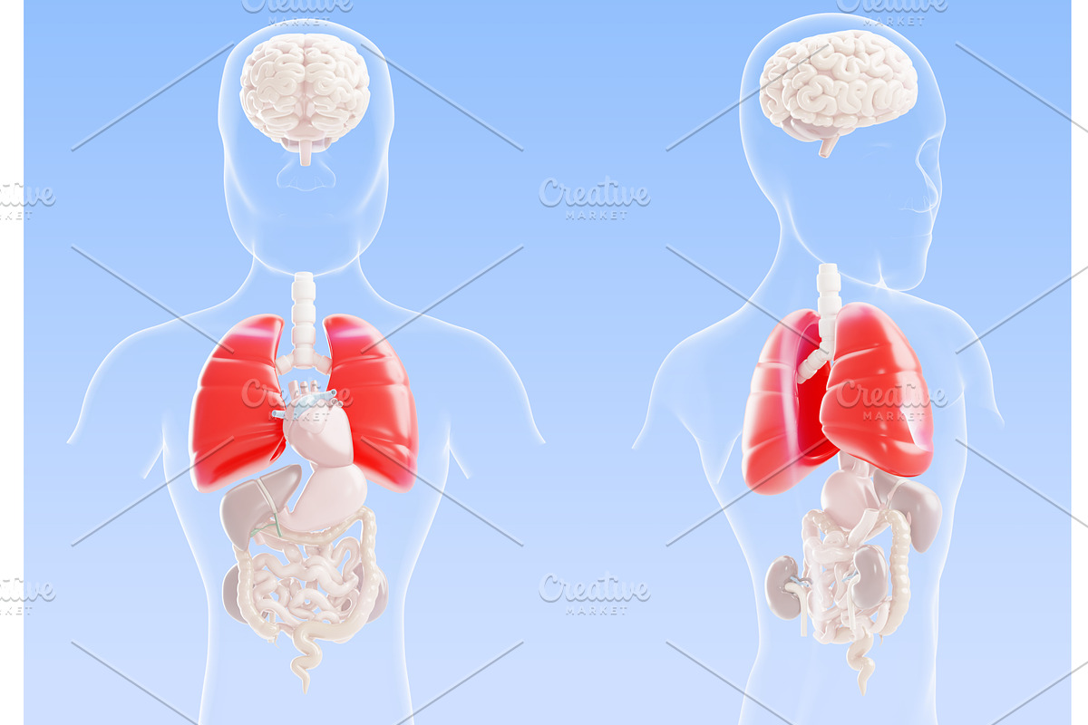 3d lungs pneumonia visualization -, a Healthcare Illustration by Marozhkastudio