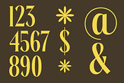 Rachon Bold Tall Display Serif, a Serif Font by timelesstype.co (Thumbnail 5 of 20)