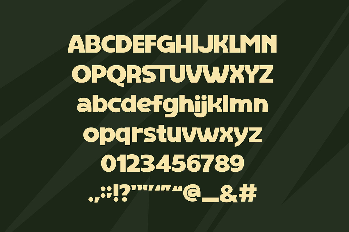 Just Trust – Bold Display Font, a Sans Serif Font by Rashdrawn (Photo 2 of 5)