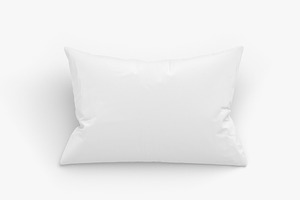 Rectangular Bed Pillow 3D Model