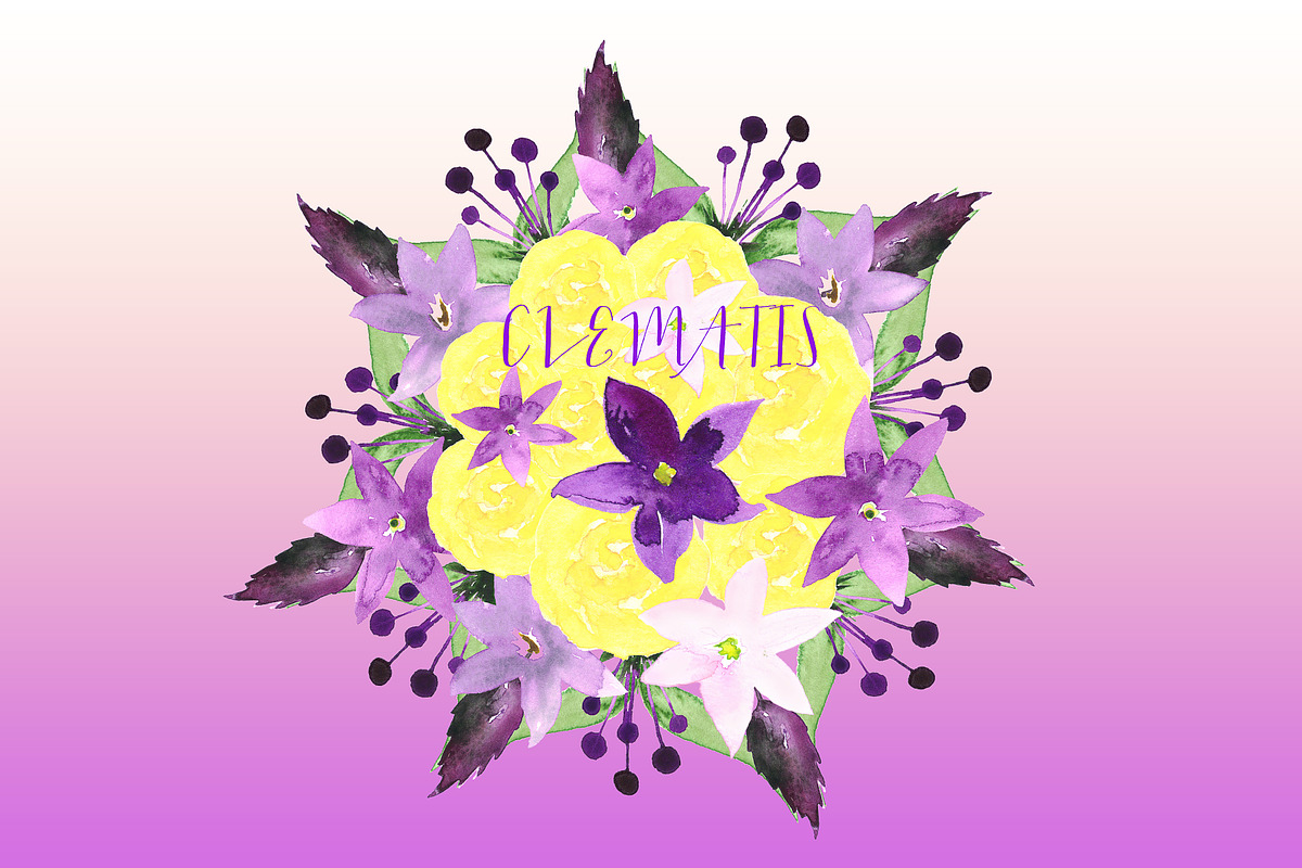 Clematis Purple. Watercolor clip art, an Illustration by LABFcreations (Photo 3 of 3)
