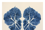 Cybo Collection · Cyanotype Botanics, a Texture Illustration by milatovar (Thumbnail 9 of 19)
