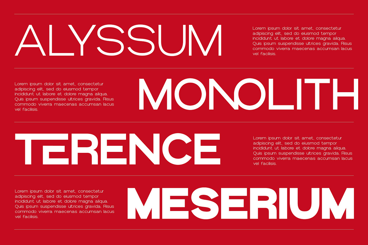 Tenova Display Typeface, a Sans Serif Font by Foxtype (Photo 2 of 6)
