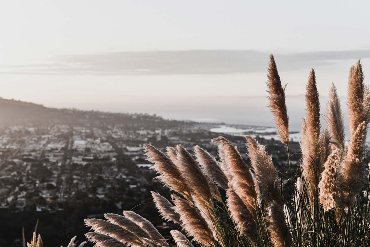 The Wall Lightroom Preset, a Preset Add-On by Lightroom Presets (Photo 4 of 4)