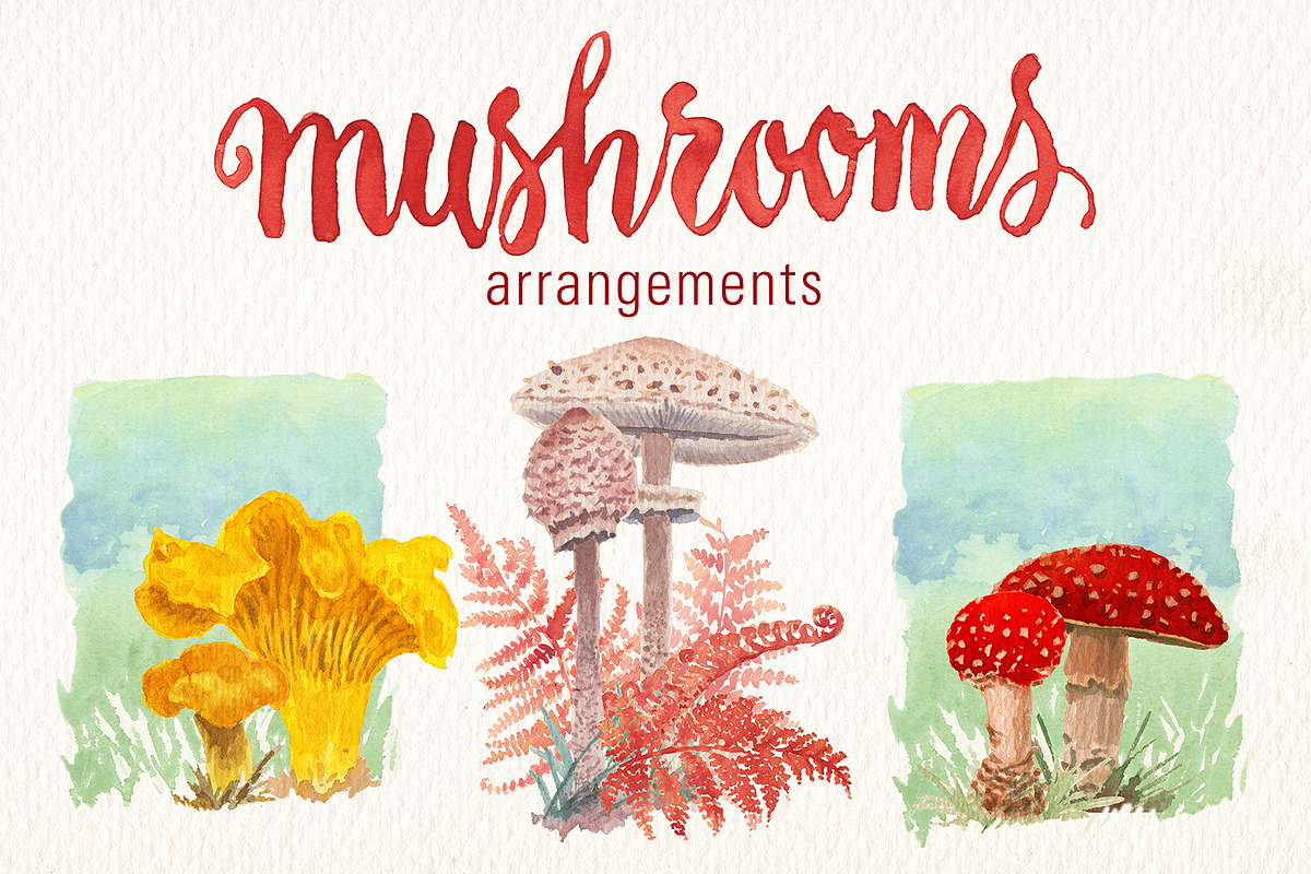 MUSHROOMS WATERCOLOR CLIPART SET, a Food Illustration by Art & Things (Photo 4 of 5)