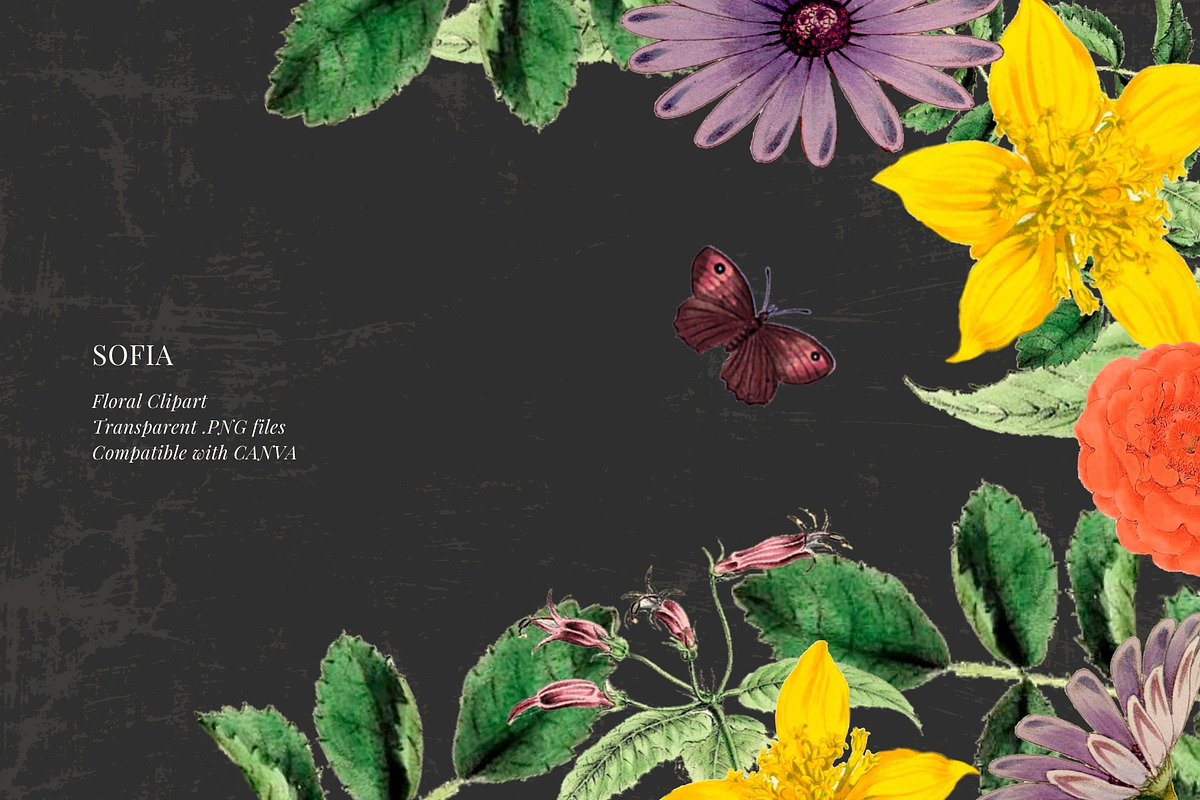 Antique flowers illustrations, an Illustration by AS Studio (Photo 8 of 8)