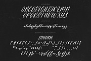 Claudia Martin Modern Handwritten, a Script Font by Letterena Studios Script (Thumbnail 13 of 15)