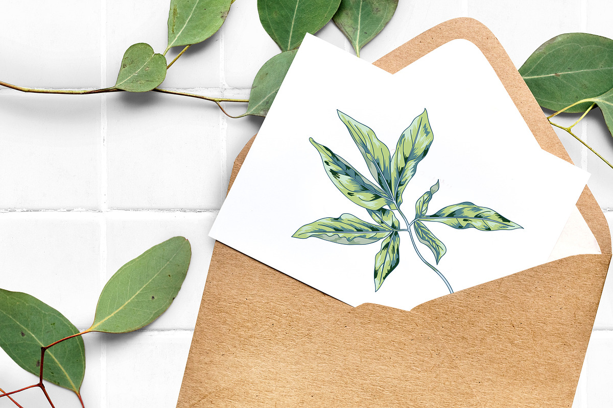 Tropical Leaf Clip Art, an Illustration by Ania Illustration (Photo 3 of 6)