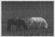 Paper Overlay Archive Shaped Edition, a Texture Graphic by lerinartstudio (Thumbnail 6 of 11)