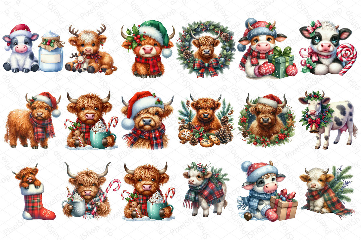 Christmas Highland Cow Clipart PNG, an Illustration by DreamPrint404 (Photo 3 of 4)