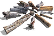 13 Tree Logs, an Environmental 3D Model by Beatheart Creative Studio (Thumbnail 18 of 37)