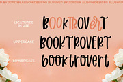 Blushed, Thick Marker Font, a Handwritten Font by Jordyn Alison Designs (Thumbnail 8 of 8)