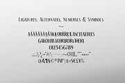 The Racoon Quest, a Serif Font by Roland Huse Design (Thumbnail 6 of 7)