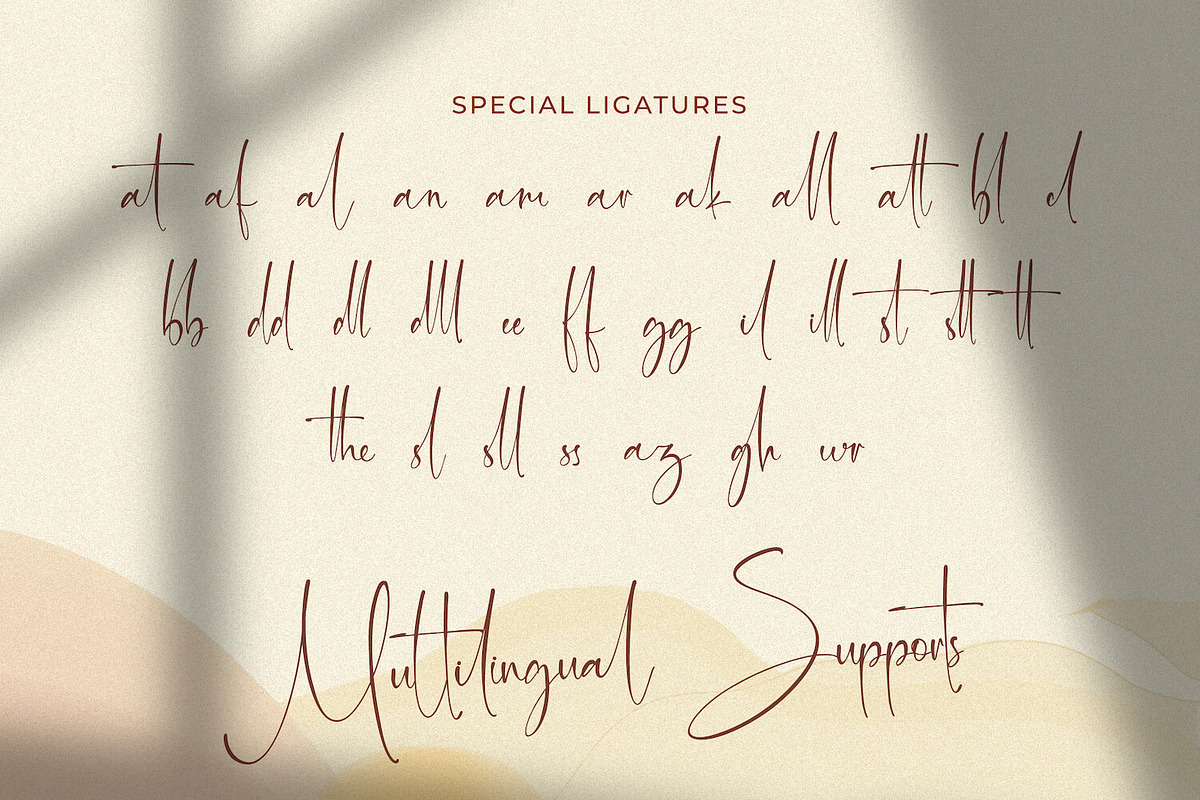 Martin Zidan - Signature Script Font, a Script Font by StringLabs (Photo 9 of 10)