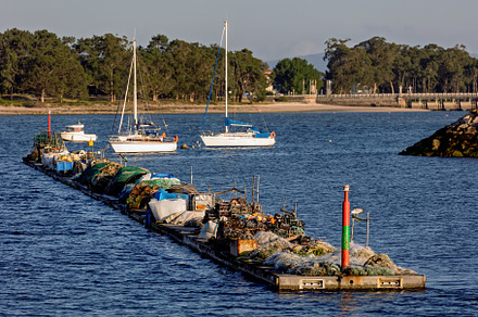 Nets and motors on a floating artisa