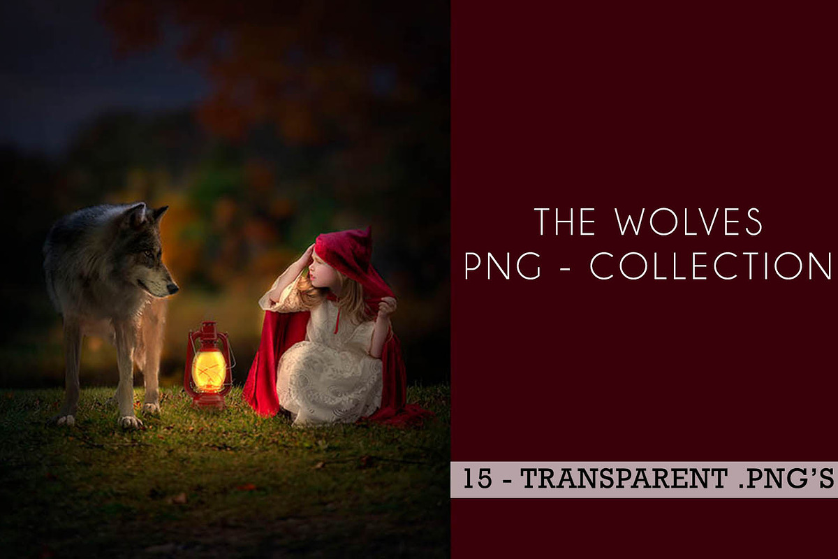 15 - PNG Wolves - Collection, an Object Graphic by DareToDream (Photo 1 of 8)
