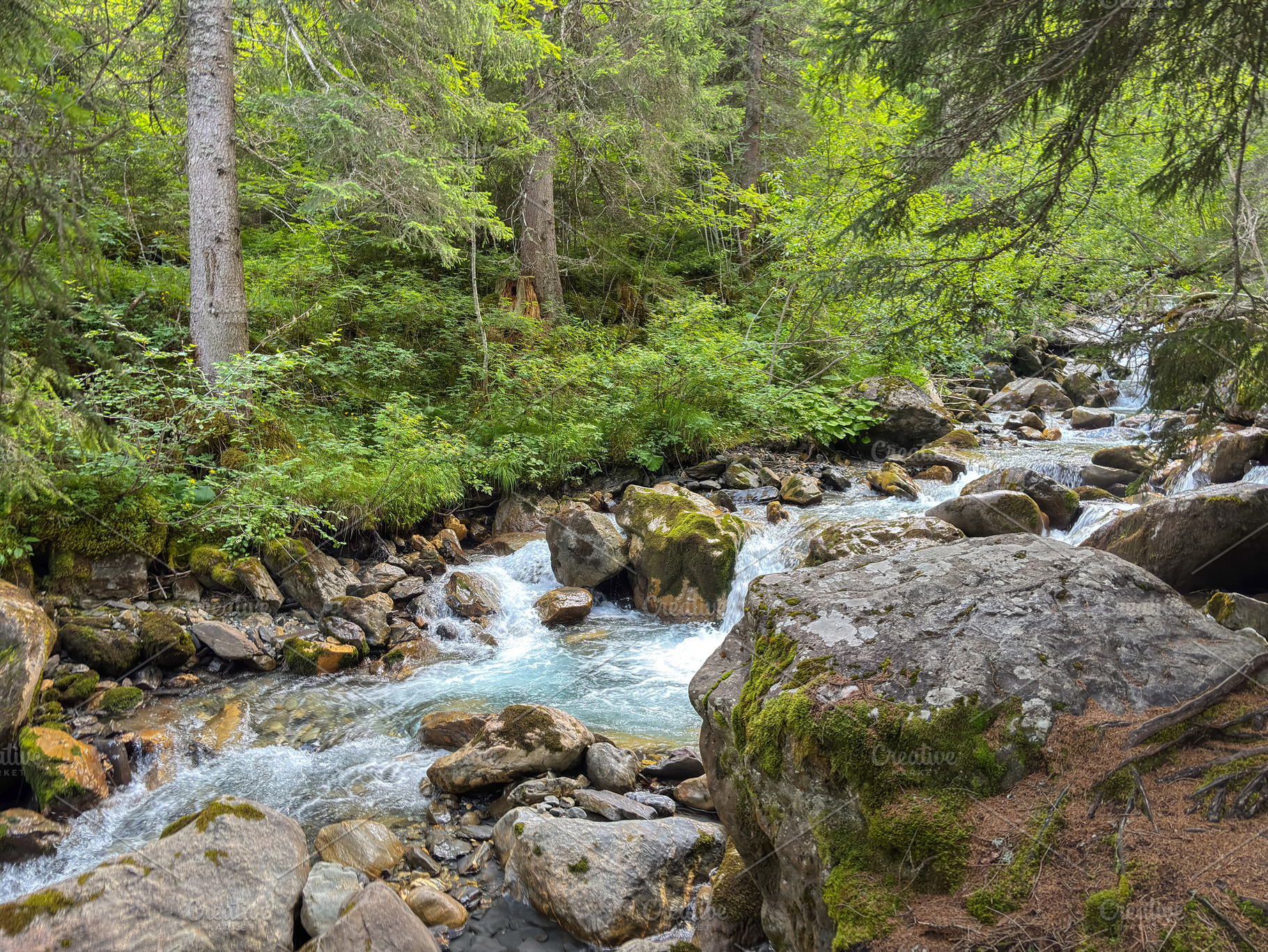 Rocky stream in alpine forest of Les Contamines-Montjoie, France, a Nature Photo by GoodGoods