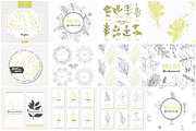 Herbs & Spices Big Bundle, a Food Illustration by Zhemchuzhina (Thumbnail 9 of 9)