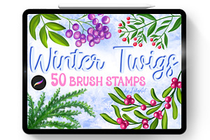 Wildflowers Winter Brushes Procreate