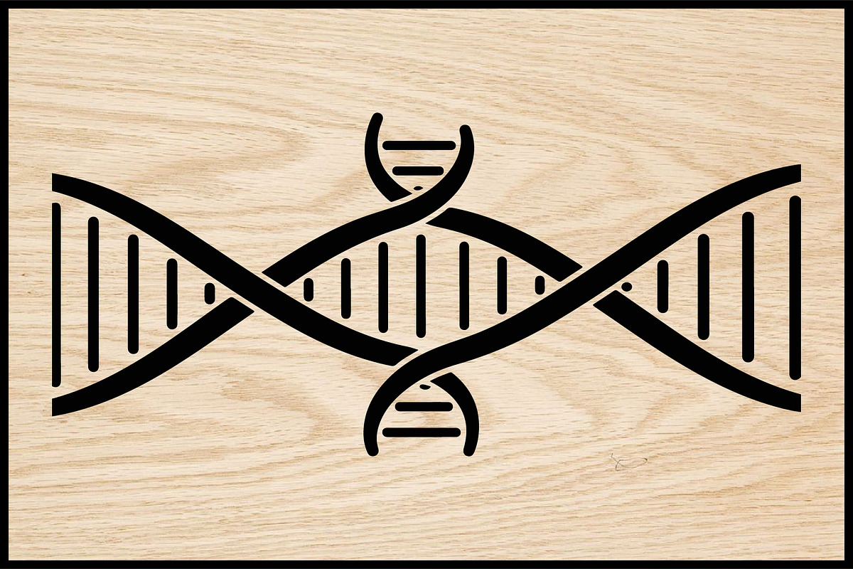 Genetic Structure Vector Bundle, an Illustration by yasushie (Photo 4 of 4)