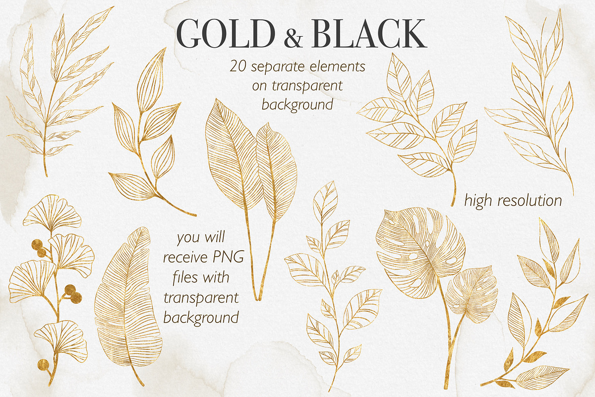 Gold and Black Leaves Clipart, a Decorative Illustration by LuiDesignStudio (Photo 3 of 5)
