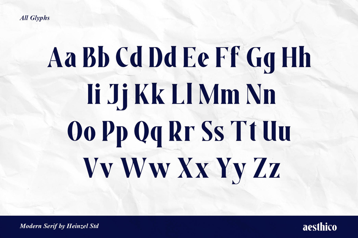 Aesthico Serif Font Family (6 Fonts), a Serif Font by Heinzel Std (Photo 21 of 21)
