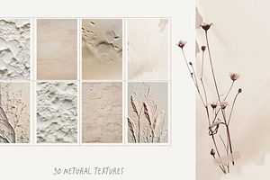 Neutral Abstract Background Cut Outs