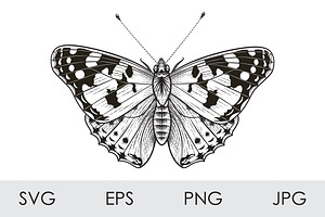 Monochrome Painted Lady Butterfly