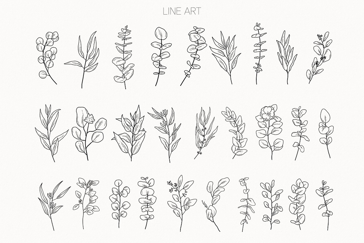 Eucalyptus Line Art And Watercolor, a Decorative Illustration by ElenaPlatovaArt (Photo 2 of 10)