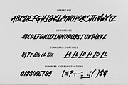 Rivera Brush Font, a Script Font by Shinko Art Studio (Thumbnail 9 of 9)