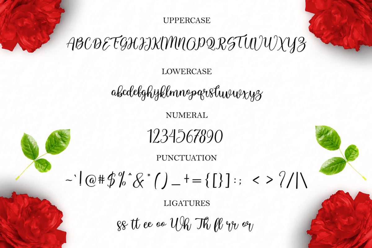 Samarra, a Script Font by Madjack.font (Photo 6 of 6)