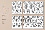 Herbs, spices, nuts & fruits. Bundle, a Food Illustration by Chewie Co (Thumbnail 2 of 15)
