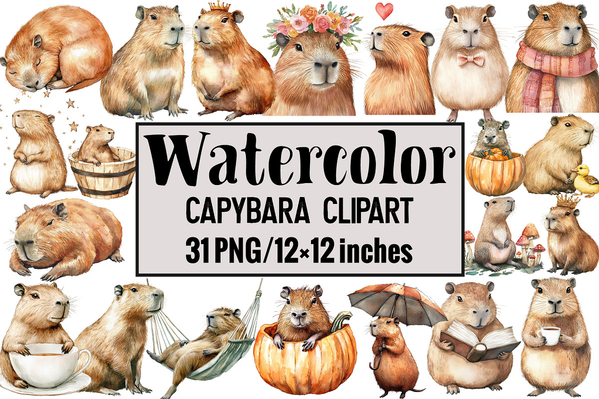 Capybara Clipart, an Illustration by Design Market (Photo 1 of 3)