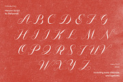 Herano - Elegant Script Font, a Script Font by delipensil (Thumbnail 7 of 10)