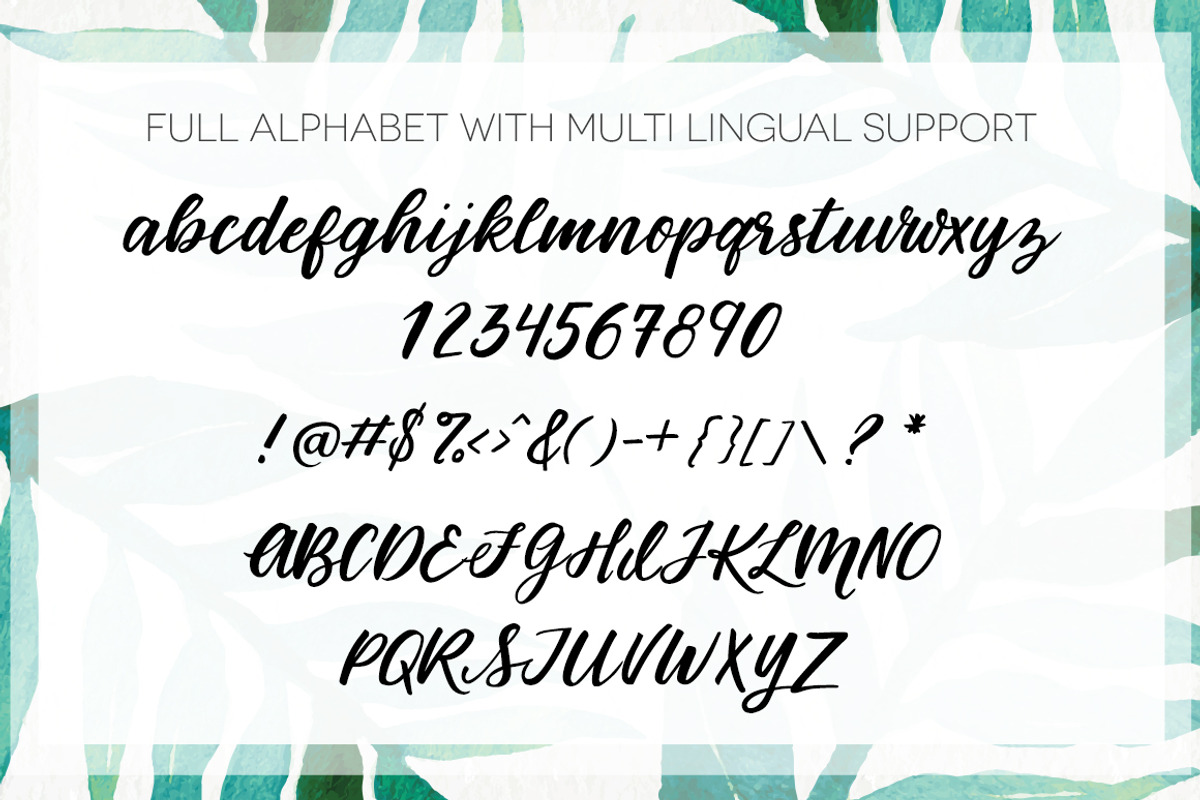 Birds of Paradise Brush Script preview 3