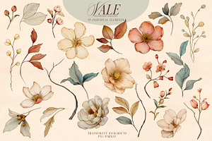 Floral Illustration & Pattern Kit