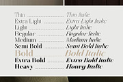 Finico Serif – High-Contrast Serif, a Serif Font by FactoryType Studio (Thumbnail 2 of 11)